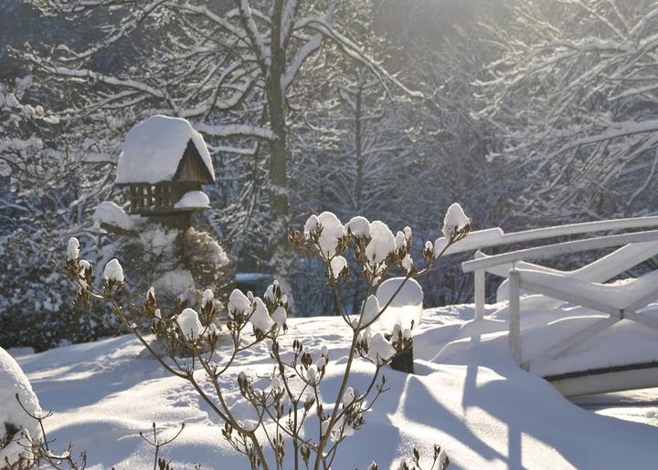 Romantik Hotel Stryckhaus in Willingen